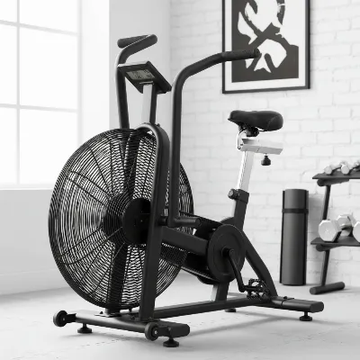 Rogue Echo Air Bike highlighting key features like console, belt drive, and adjustable seat.